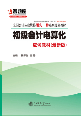 初级会计电算化